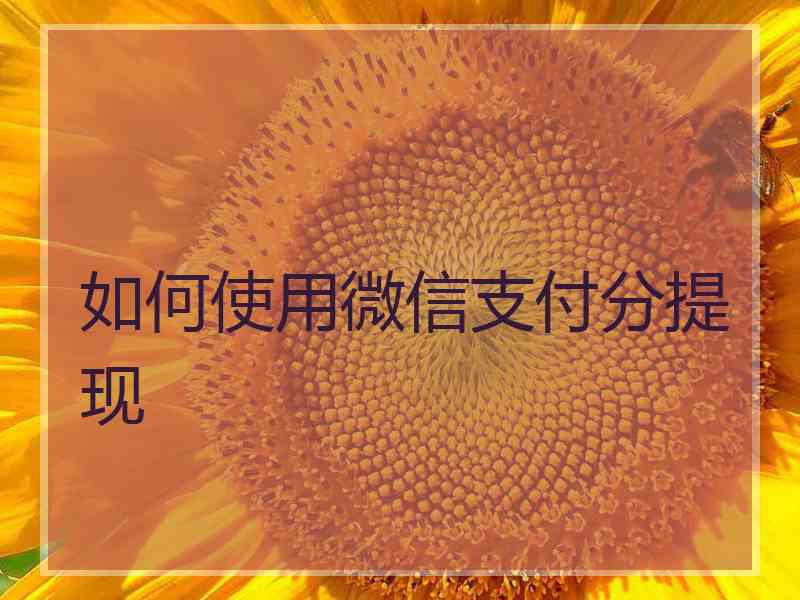 如何使用微信支付分提现
