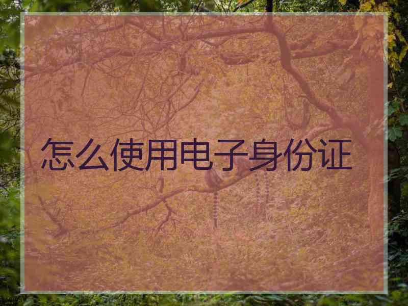 怎么使用电子身份证