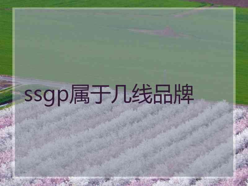 ssgp属于几线品牌