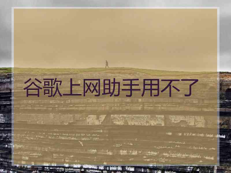 谷歌上网助手用不了