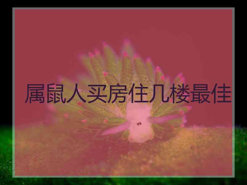 属鼠人买房住几楼最佳