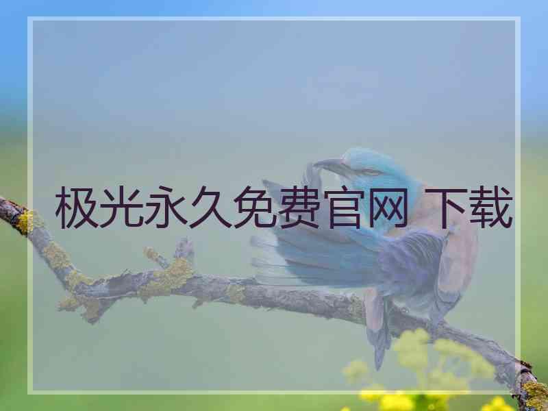 极光永久免费官网 下载