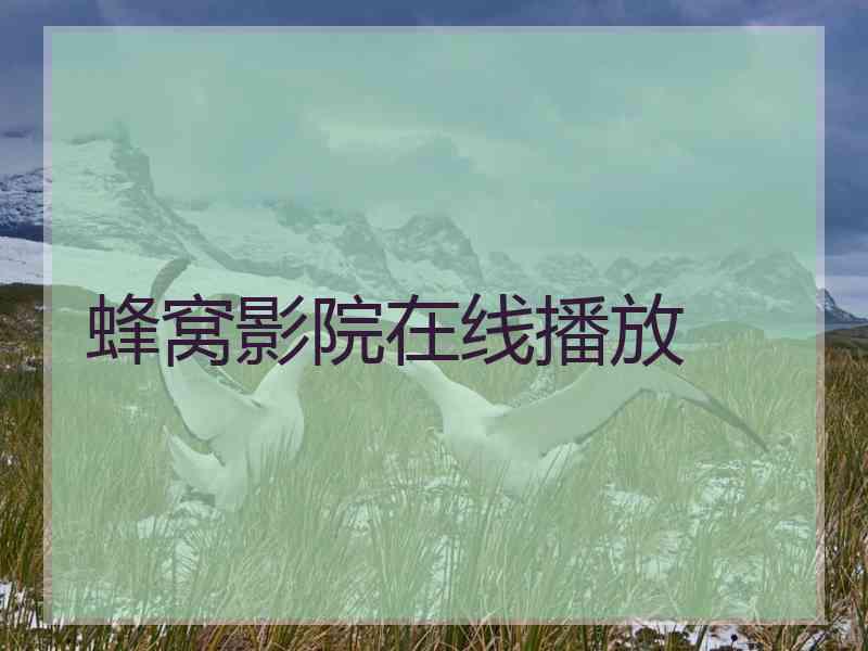 蜂窝影院在线播放