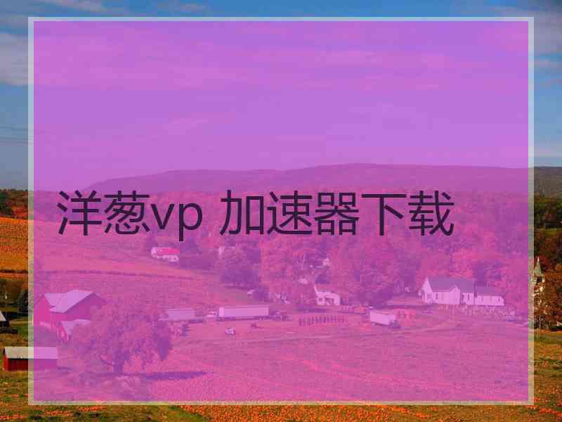 洋葱vp 加速器下载