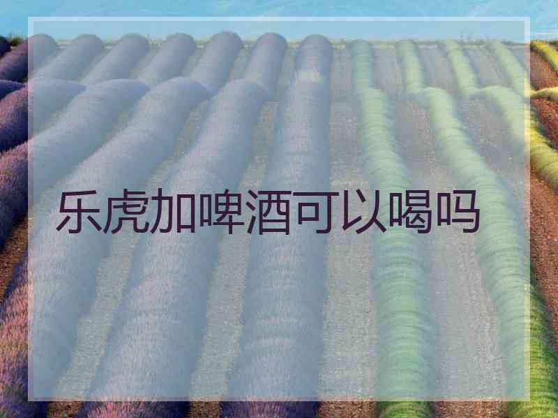 乐虎加啤酒可以喝吗