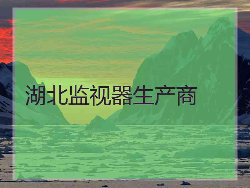 湖北监视器生产商