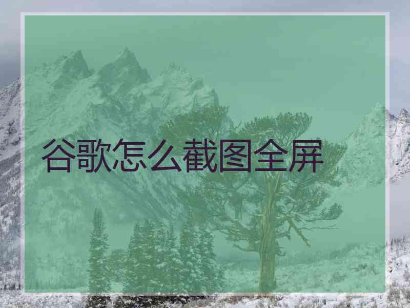 谷歌怎么截图全屏