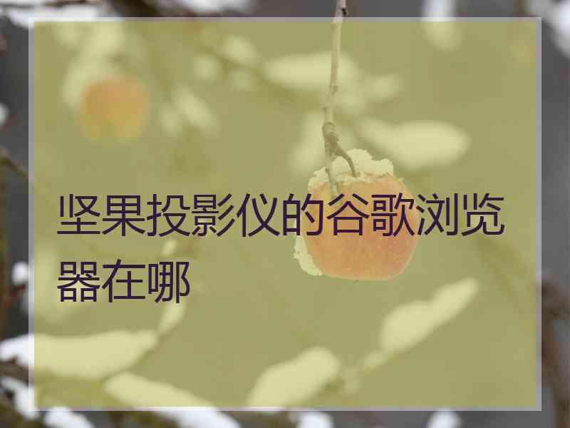 坚果投影仪的谷歌浏览器在哪
