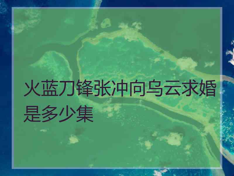 火蓝刀锋张冲向乌云求婚是多少集