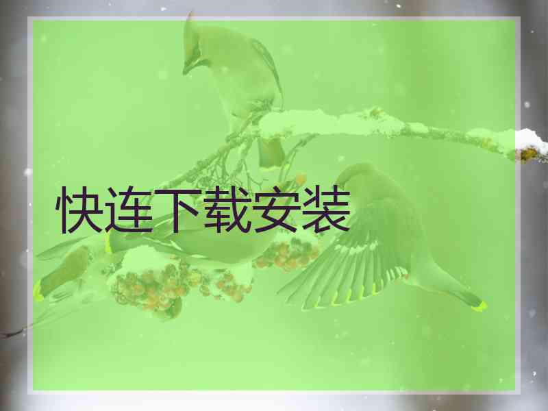 快连下载安装