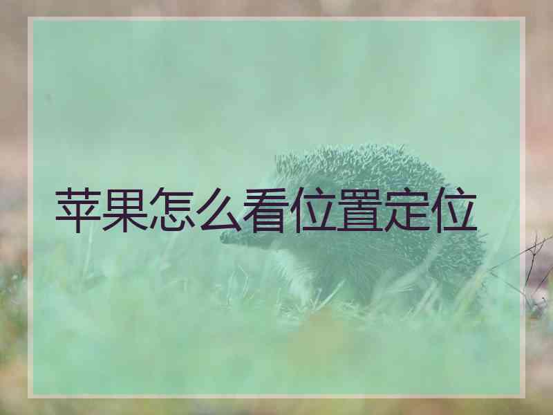 苹果怎么看位置定位