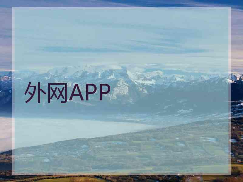 外网APP