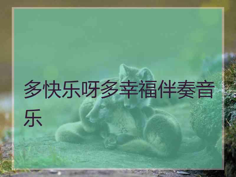 多快乐呀多幸福伴奏音乐