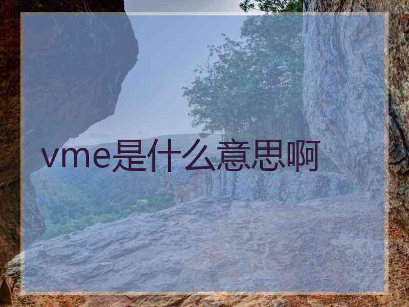 vme是什么意思啊