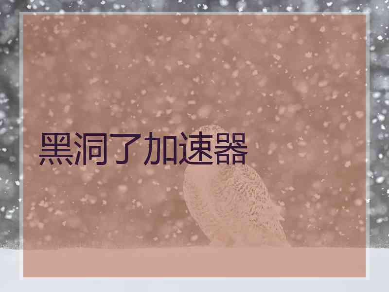 黑洞了加速器