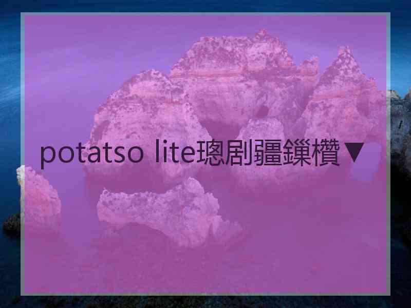 potatso lite璁剧疆鏁欑▼