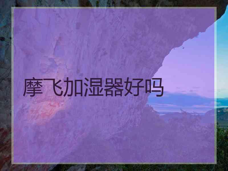 摩飞加湿器好吗