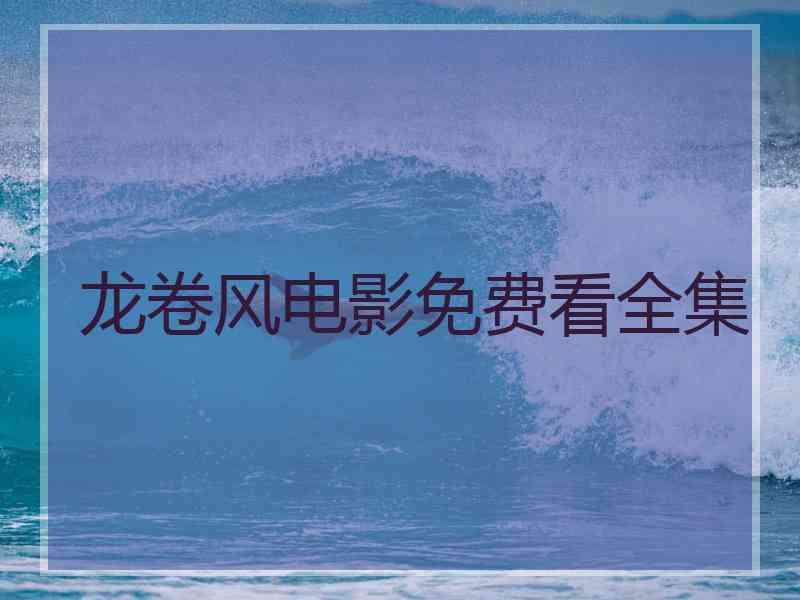 龙卷风电影免费看全集