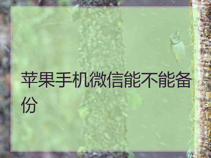 苹果手机微信能不能备份