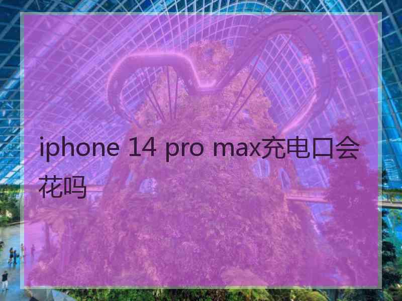 iphone 14 pro max充电口会花吗