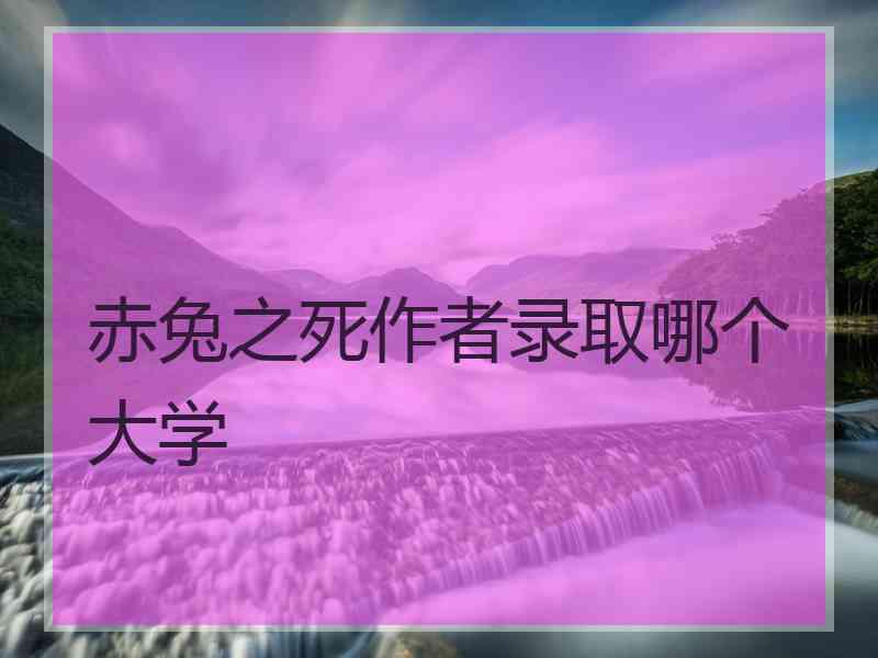 赤兔之死作者录取哪个大学