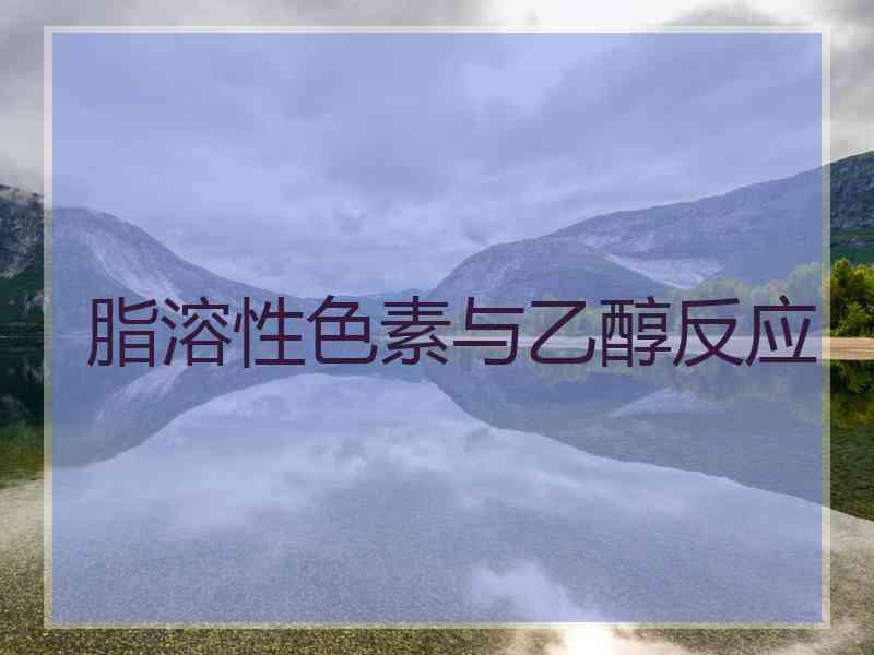 脂溶性色素与乙醇反应
