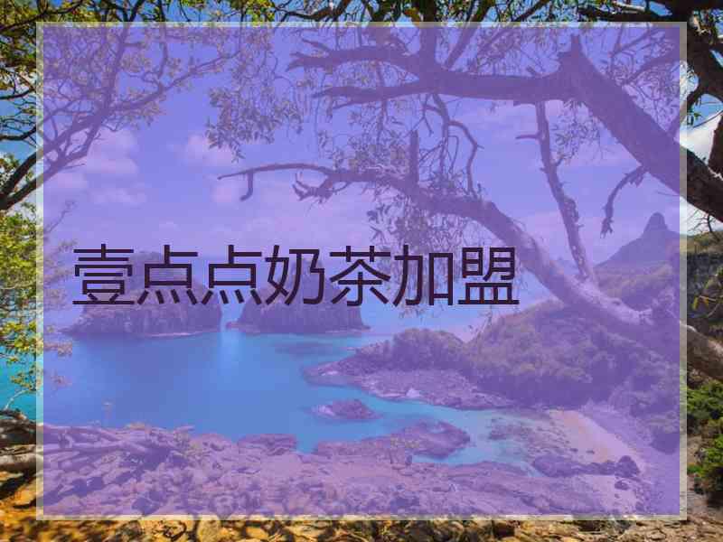 壹点点奶茶加盟