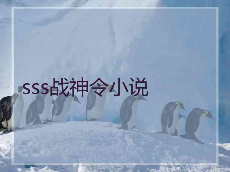 sss战神令小说