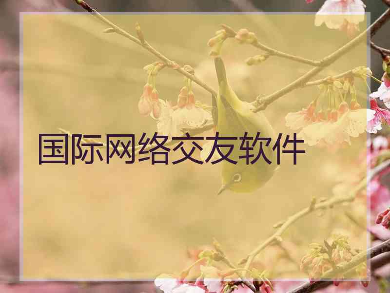 国际网络交友软件