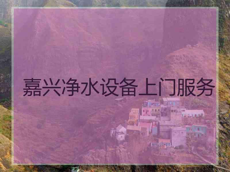 嘉兴净水设备上门服务