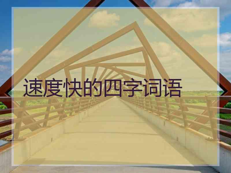 速度快的四字词语
