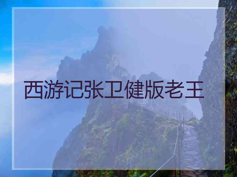 西游记张卫健版老王