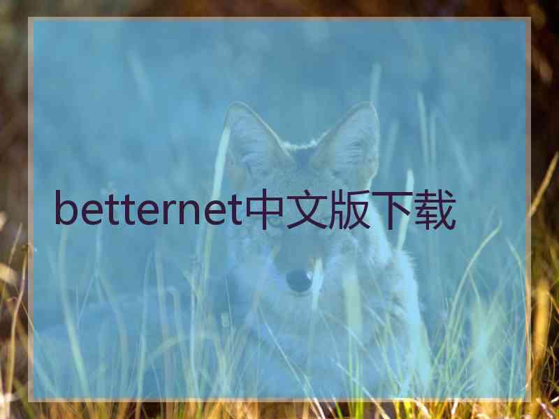 betternet中文版下载