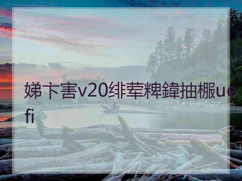 娣卞害v20绯荤粺鍏抽棴uefi