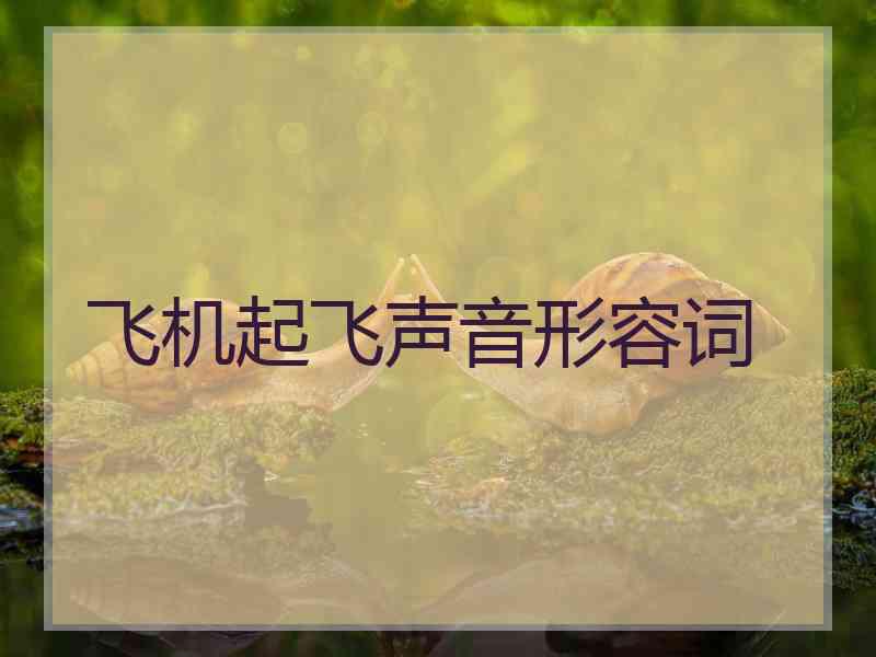 飞机起飞声音形容词