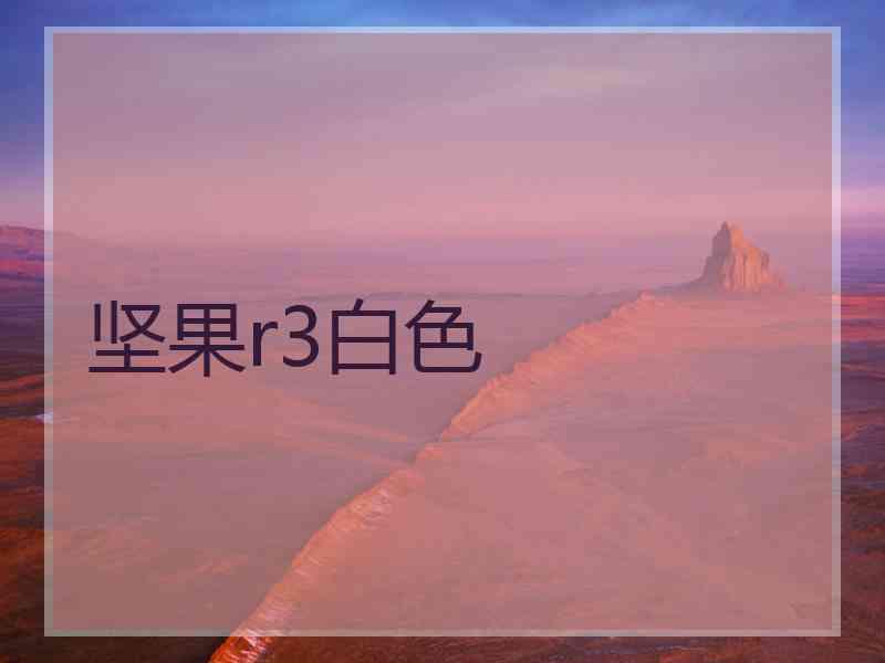 坚果r3白色