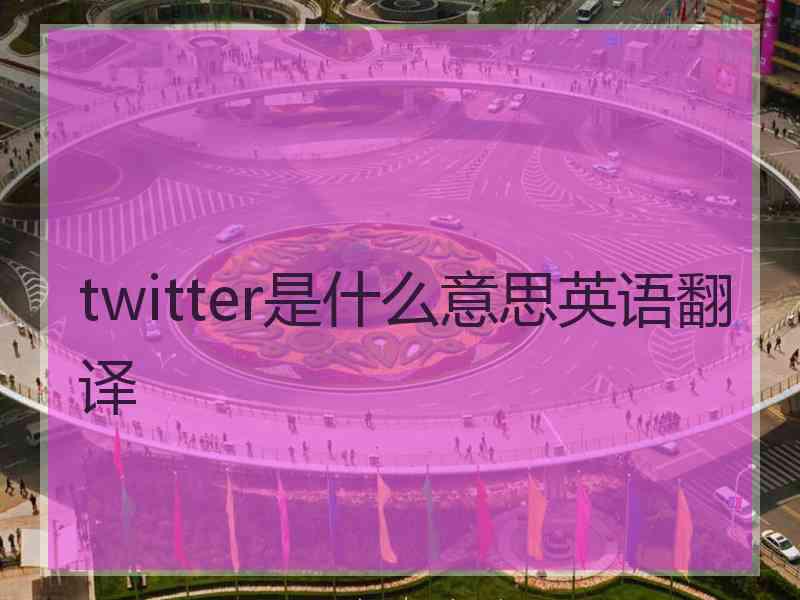 twitter是什么意思英语翻译