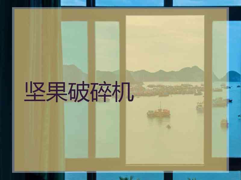 坚果破碎机