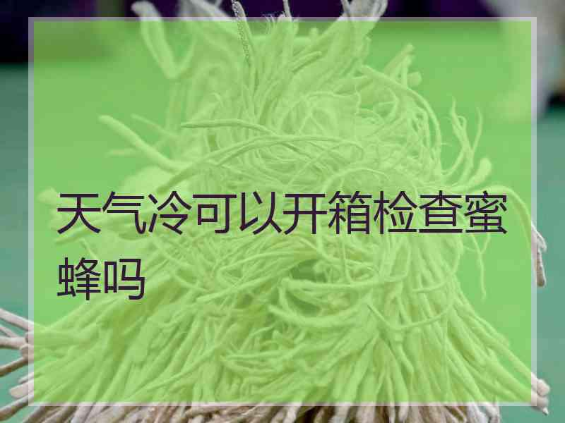 天气冷可以开箱检查蜜蜂吗