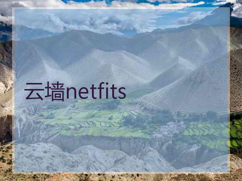 云墙netfits
