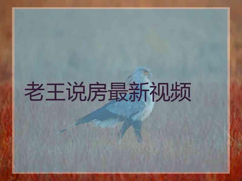 老王说房最新视频