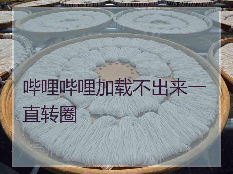 哔哩哔哩加载不出来一直转圈