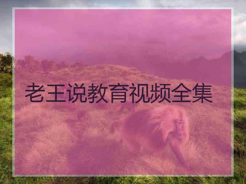 老王说教育视频全集