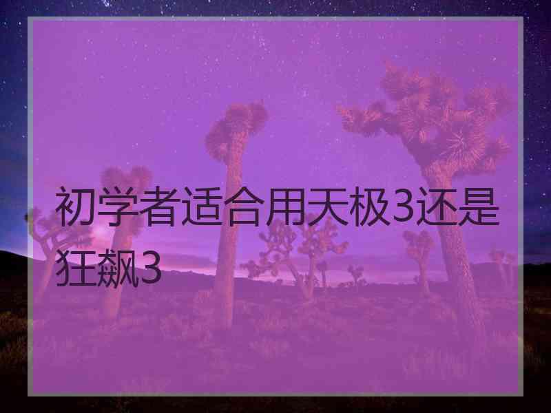 初学者适合用天极3还是狂飙3