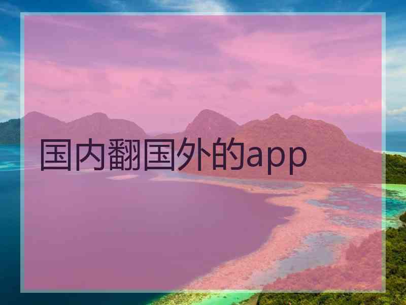 国内翻国外的app