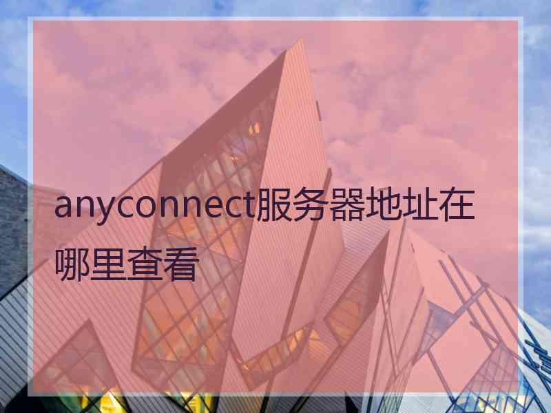 anyconnect服务器地址在哪里查看