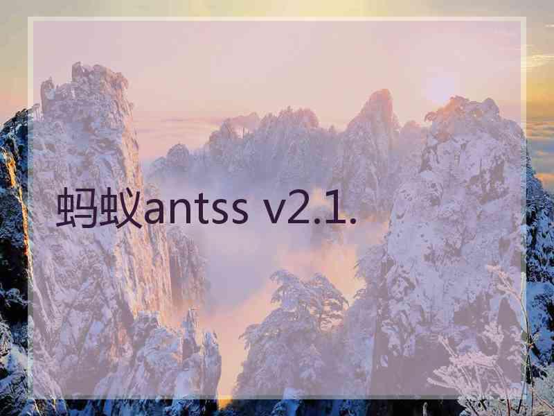 蚂蚁antss v2.1.