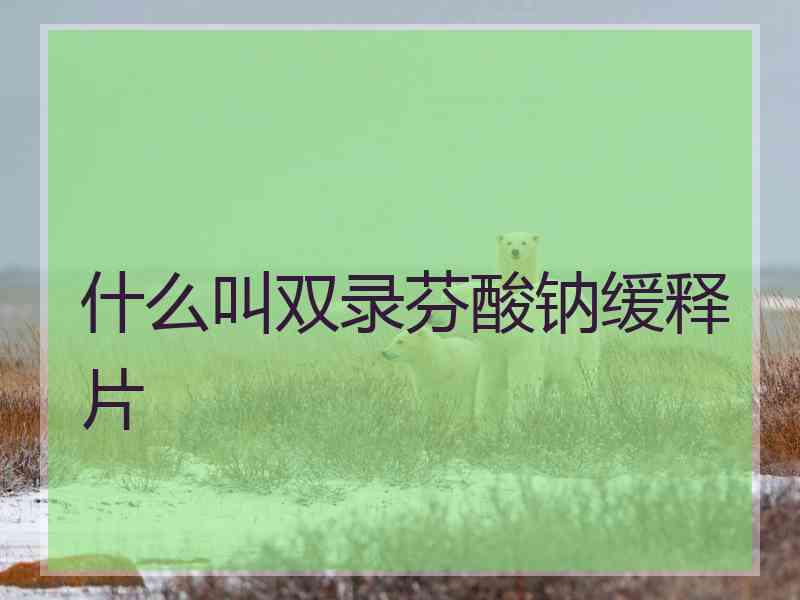 什么叫双录芬酸钠缓释片