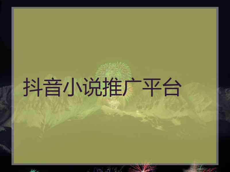抖音小说推广平台
