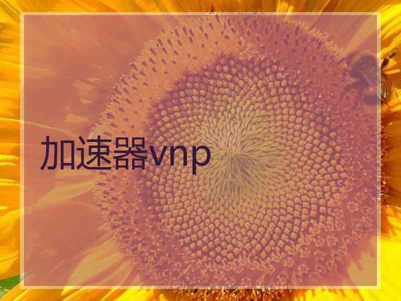 加速器vnp